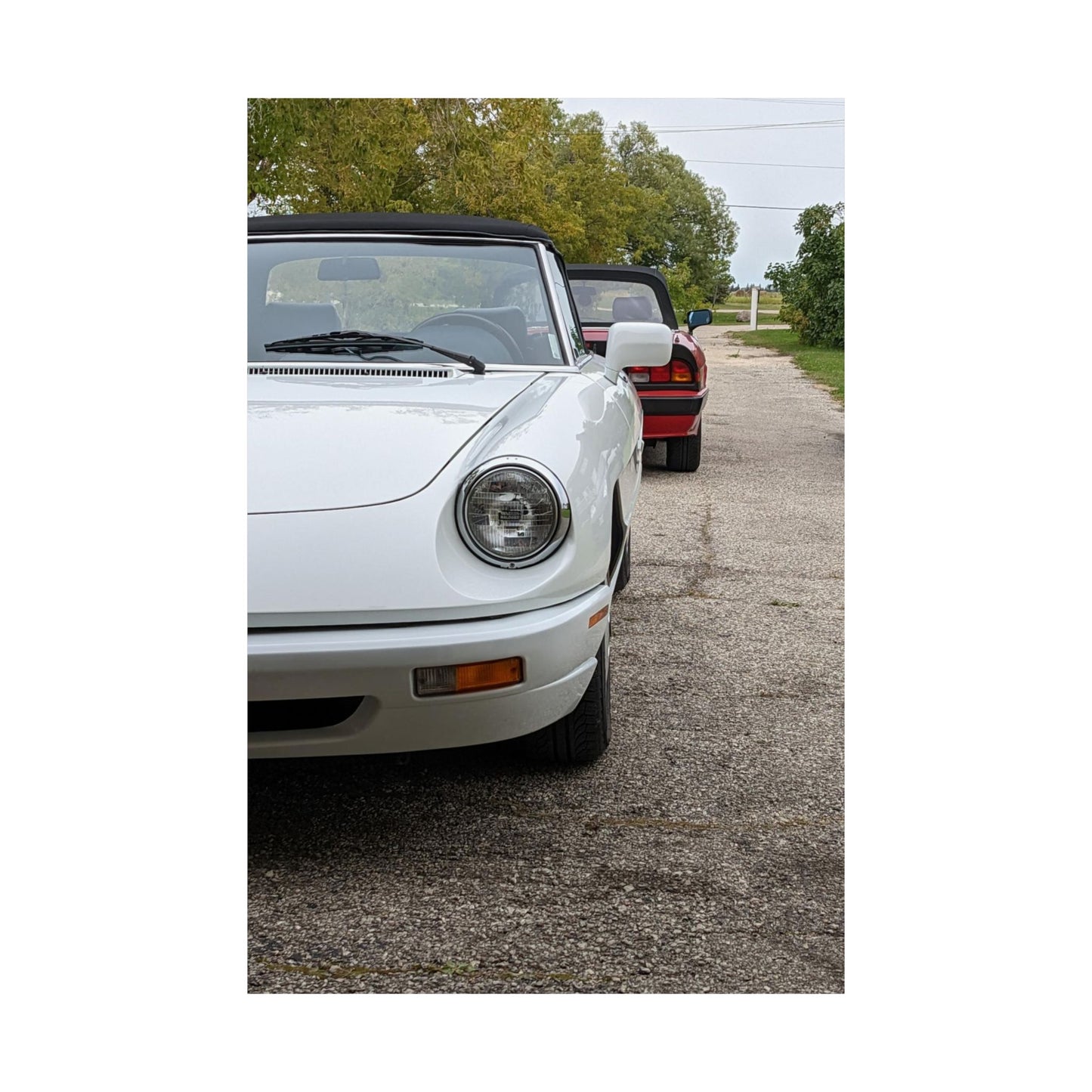 Alfisti