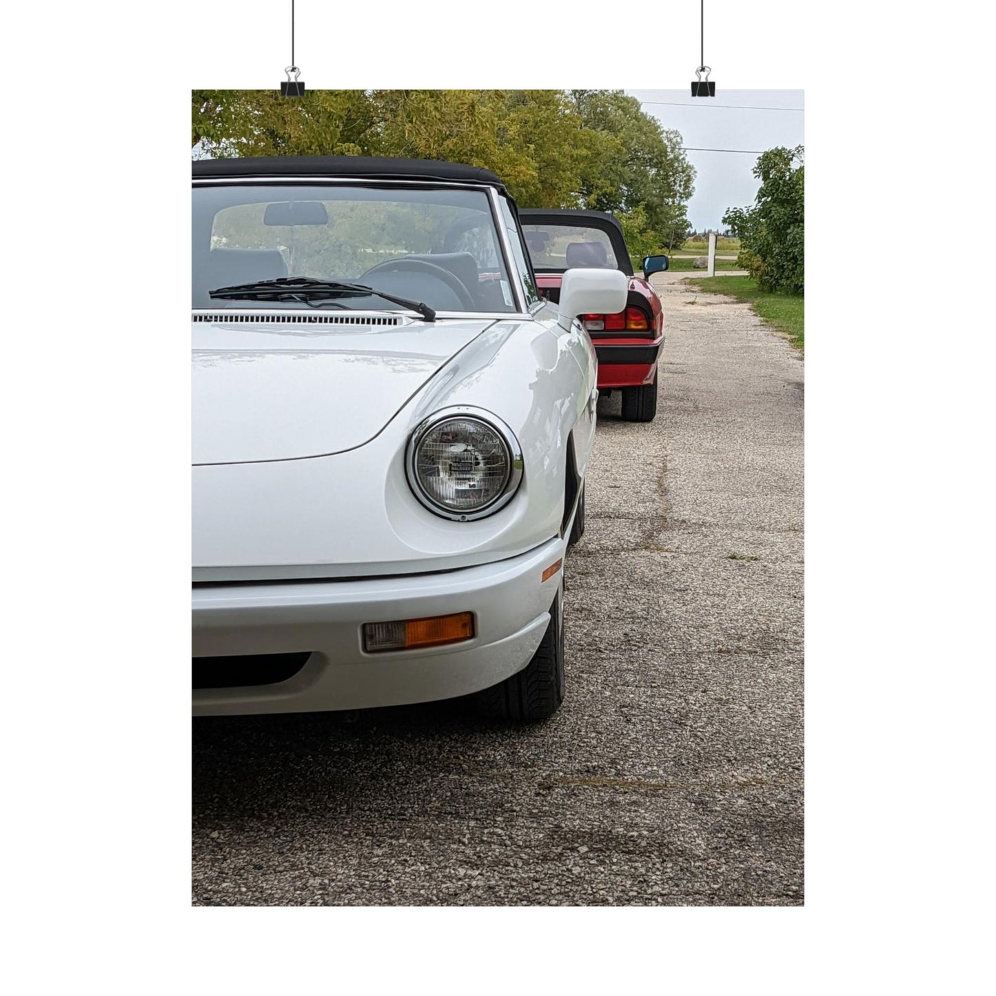 Alfisti