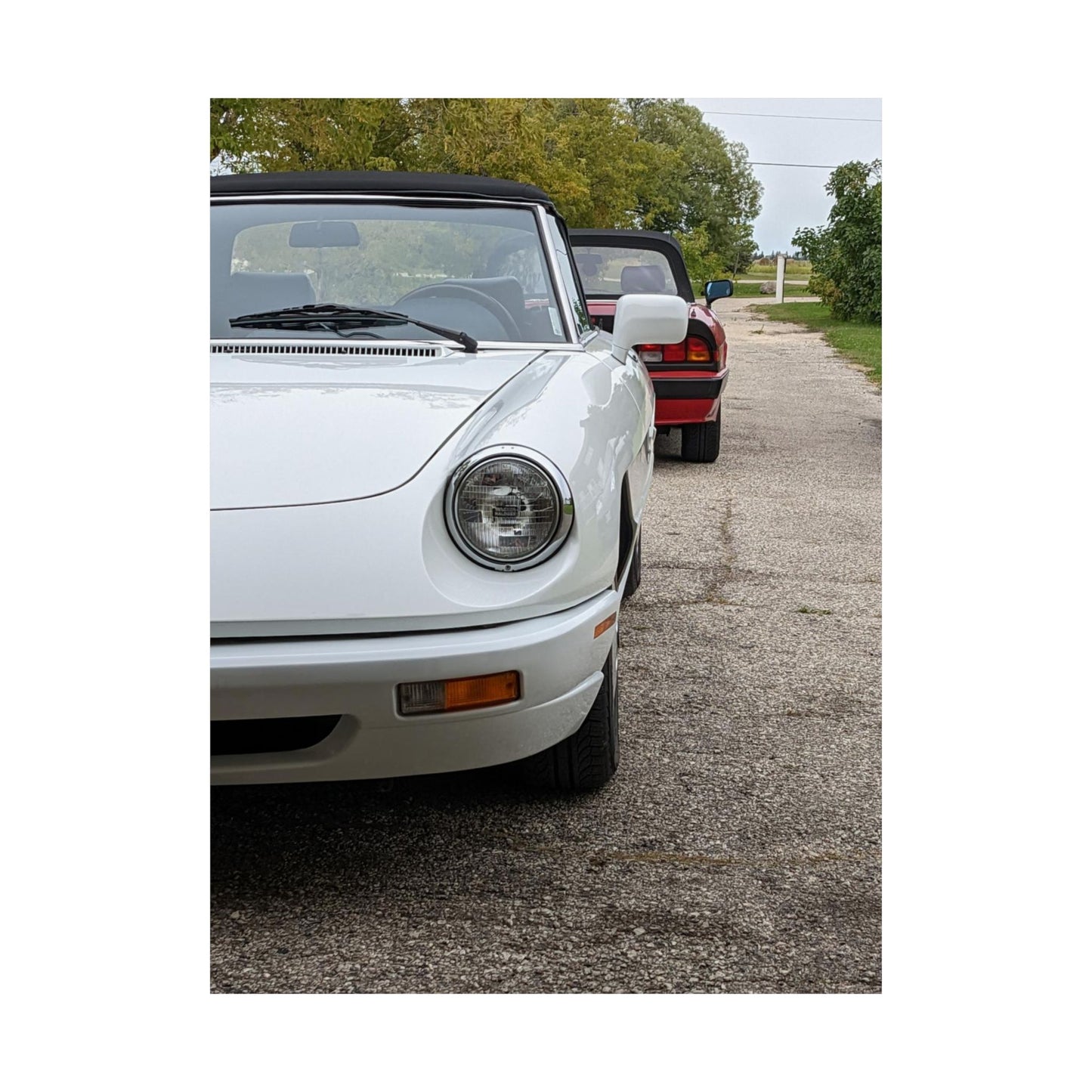Alfisti